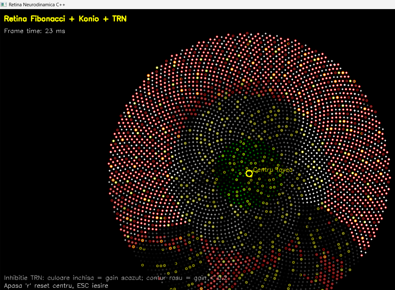b4 Application Real-Time Preview
